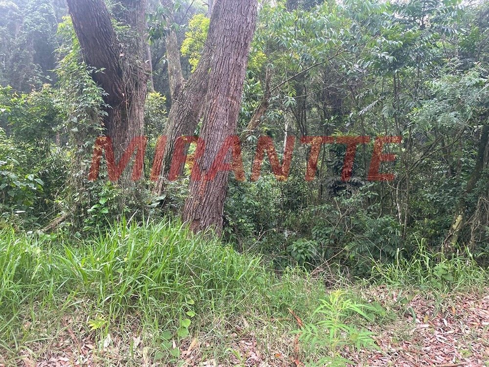 Terreno de 0m² em Serra da Cantareira