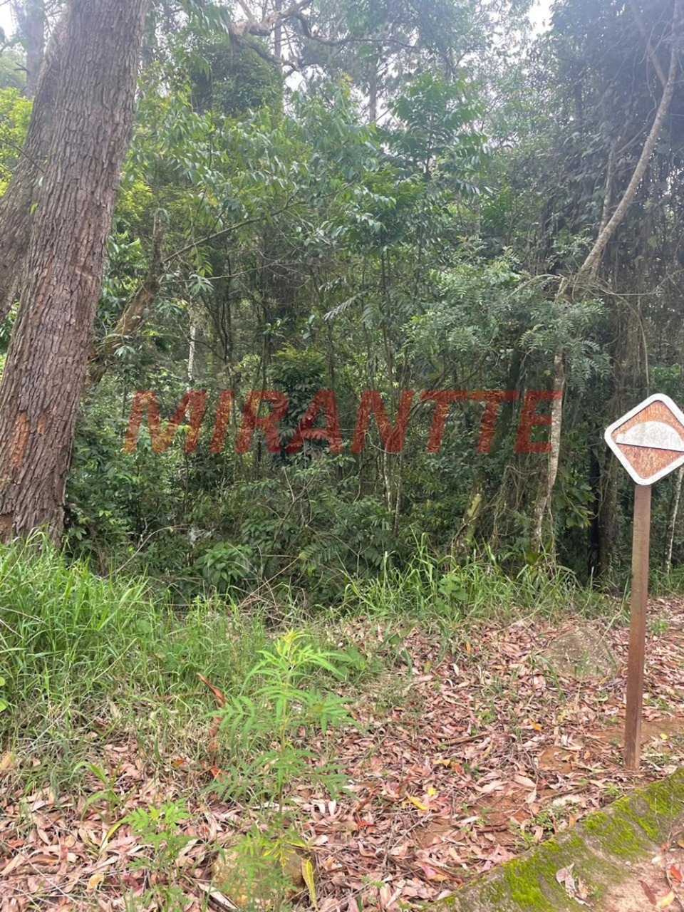 Terreno de 0m² em Serra da Cantareira