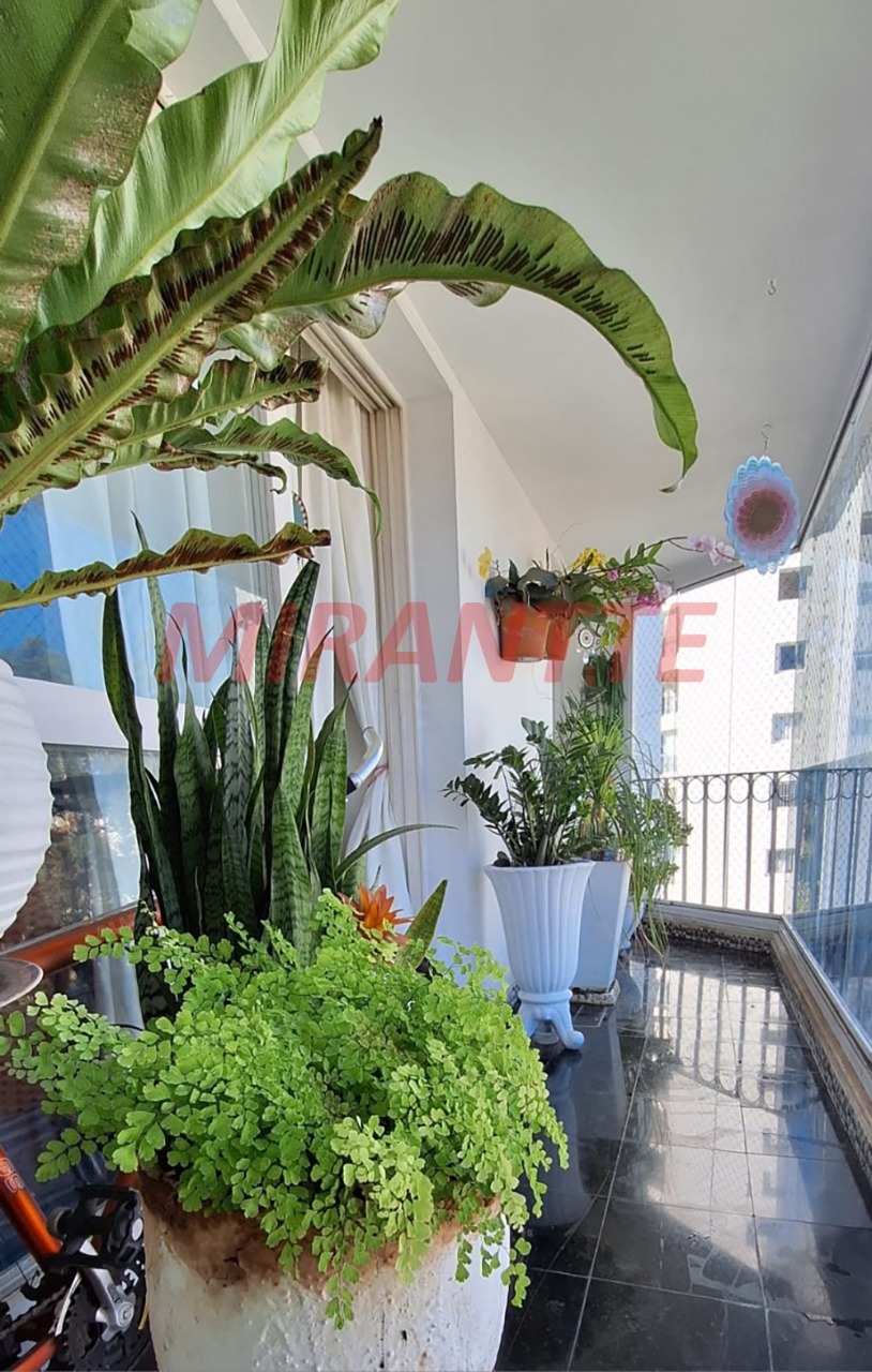 Apartamento de 90m² com 3 quartos em Santana