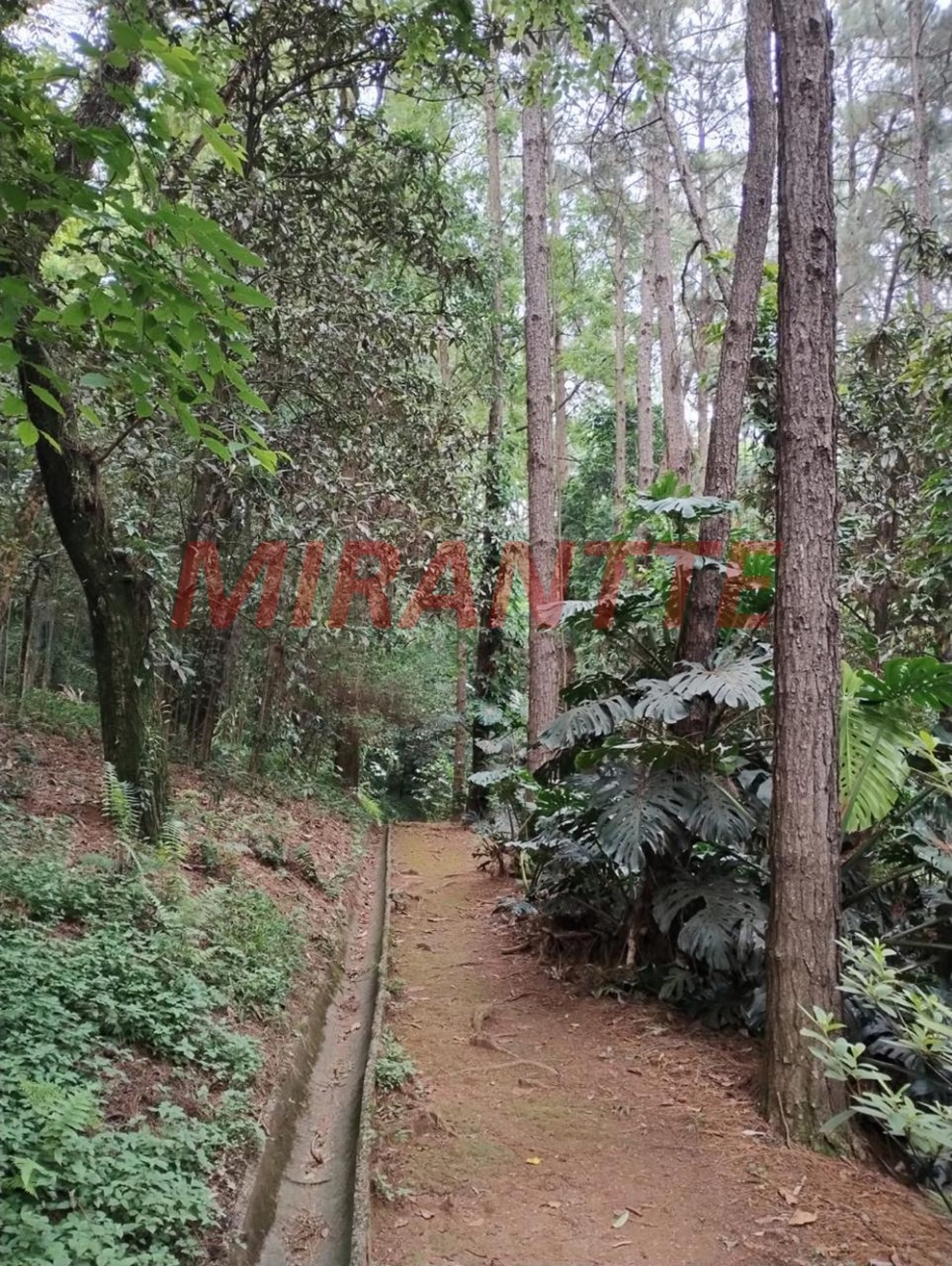 Apartamento de 90m² com 3 quartos em Santana