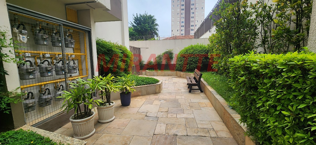 Apartamento de 79m² com 3 quartos em Vila Guilherme