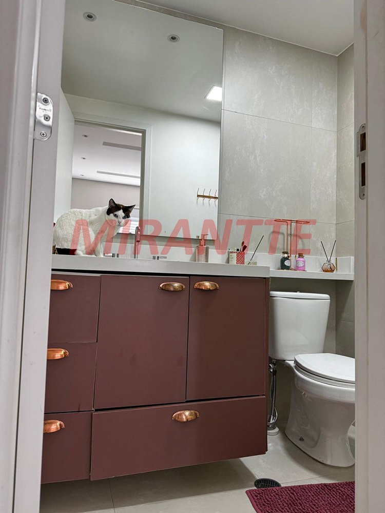 Apartamento de 61m² com 2 quartos em Vila Guilherme