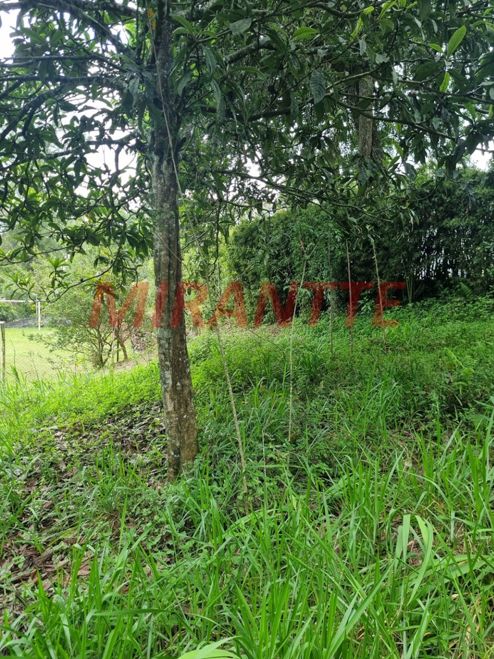 Terreno de 0m² em Jardim da Montanha