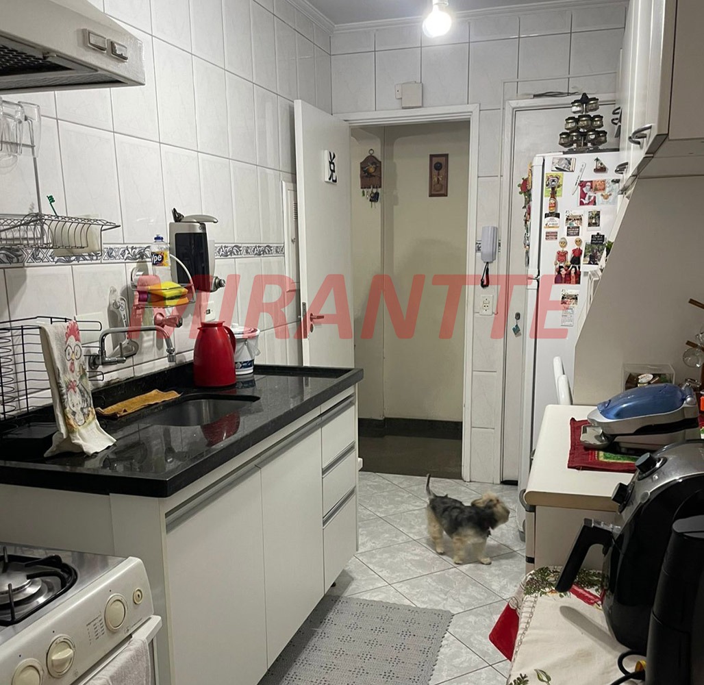 Apartamento de 69m² com 2 quartos em Tucuruvi