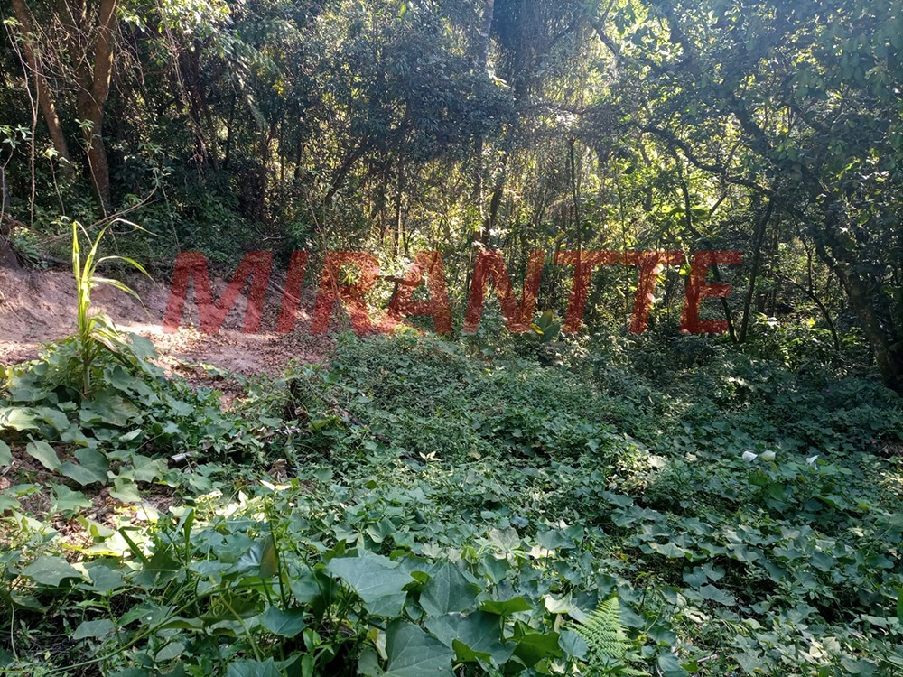Terreno de 0m² em Samambaia