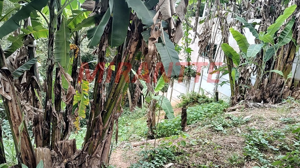 Terreno de 0m² em Samambaia