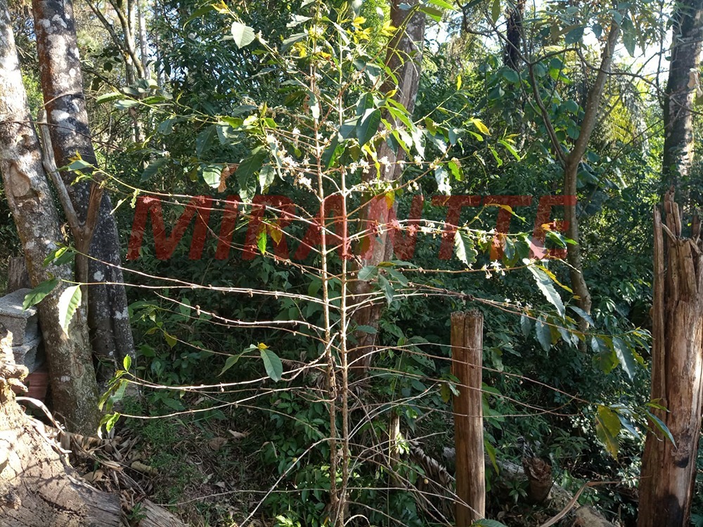 Terreno de 0m² em Samambaia