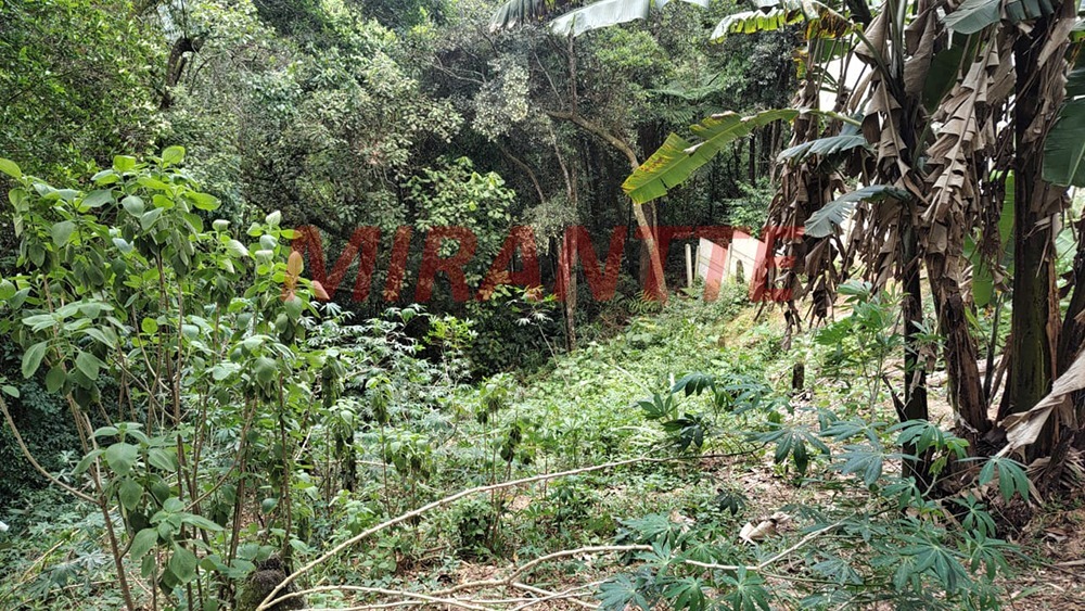 Terreno de 0m² em Samambaia