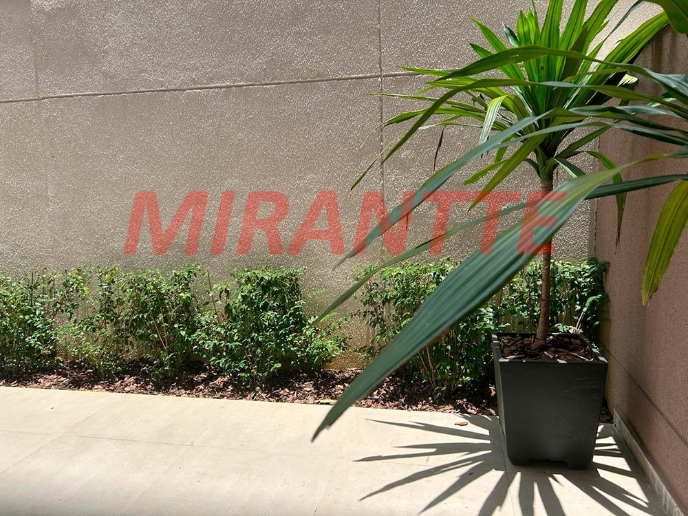 Apartamento de 40m² com 2 quartos em Vila Mazzei