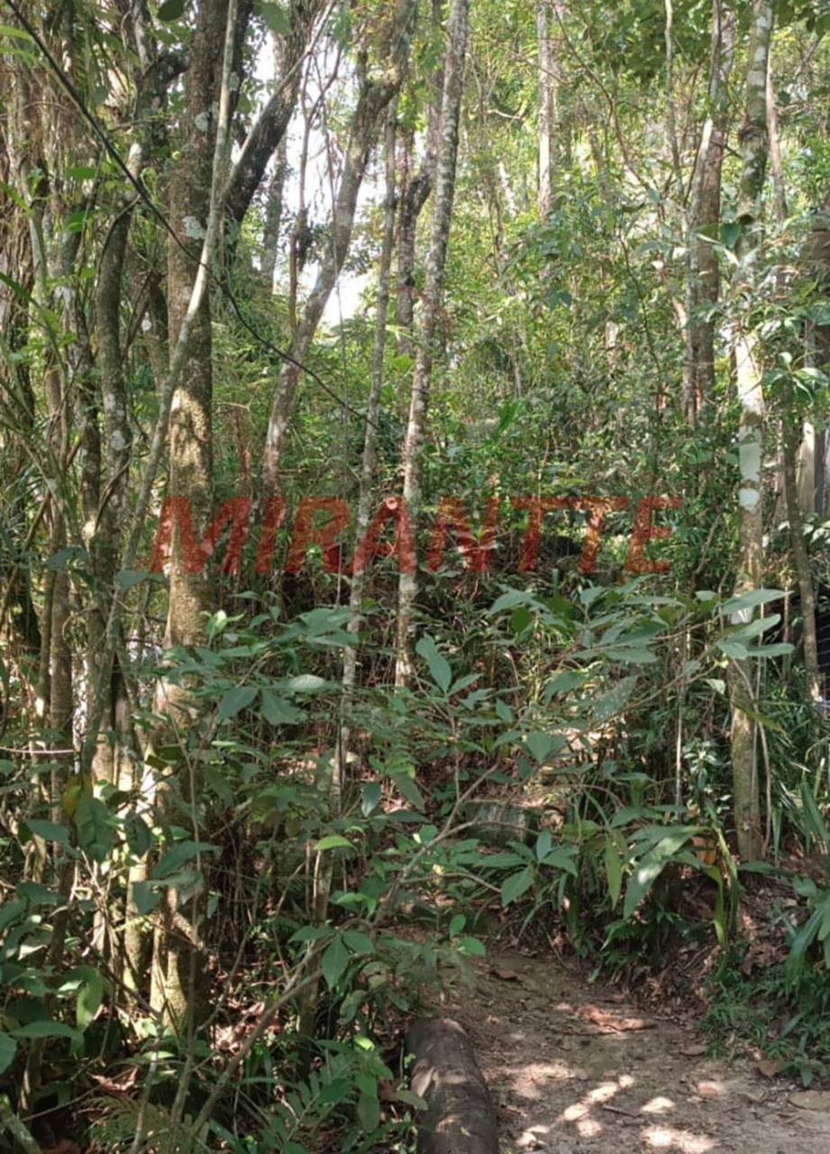 Terreno de 0m² em Luiz Fagundes