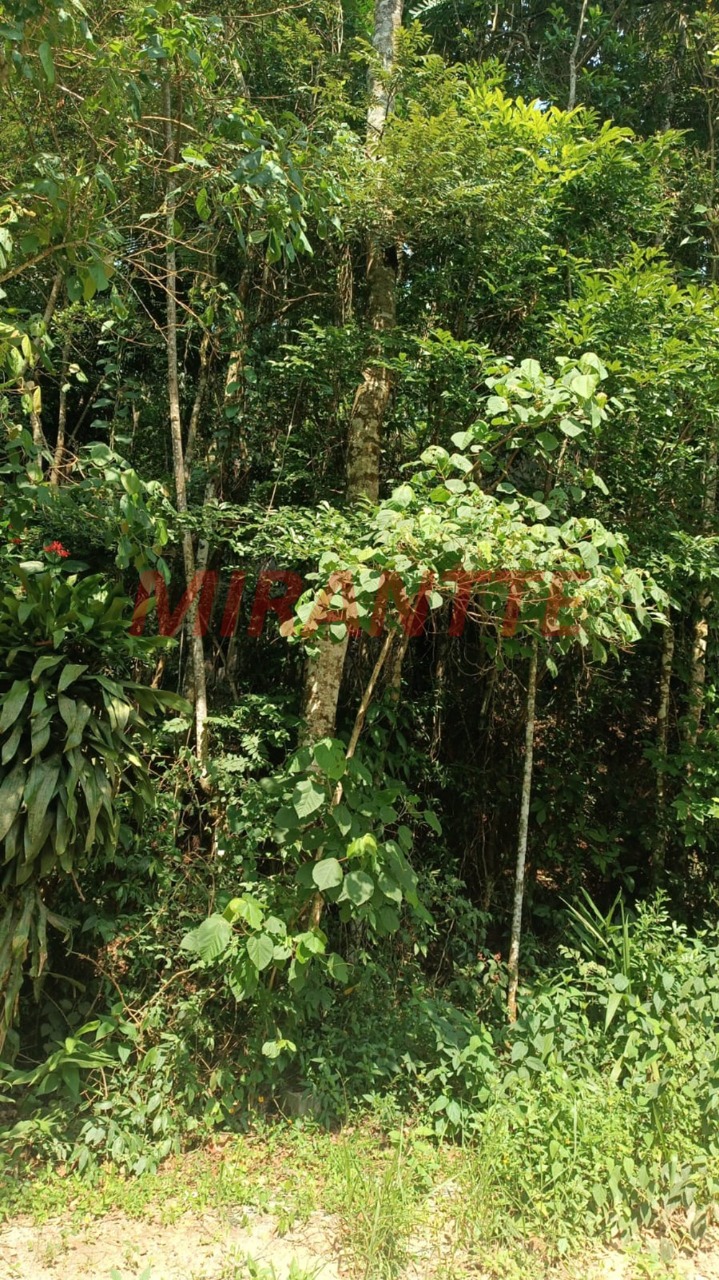 Terreno de 0m² em Luiz Fagundes