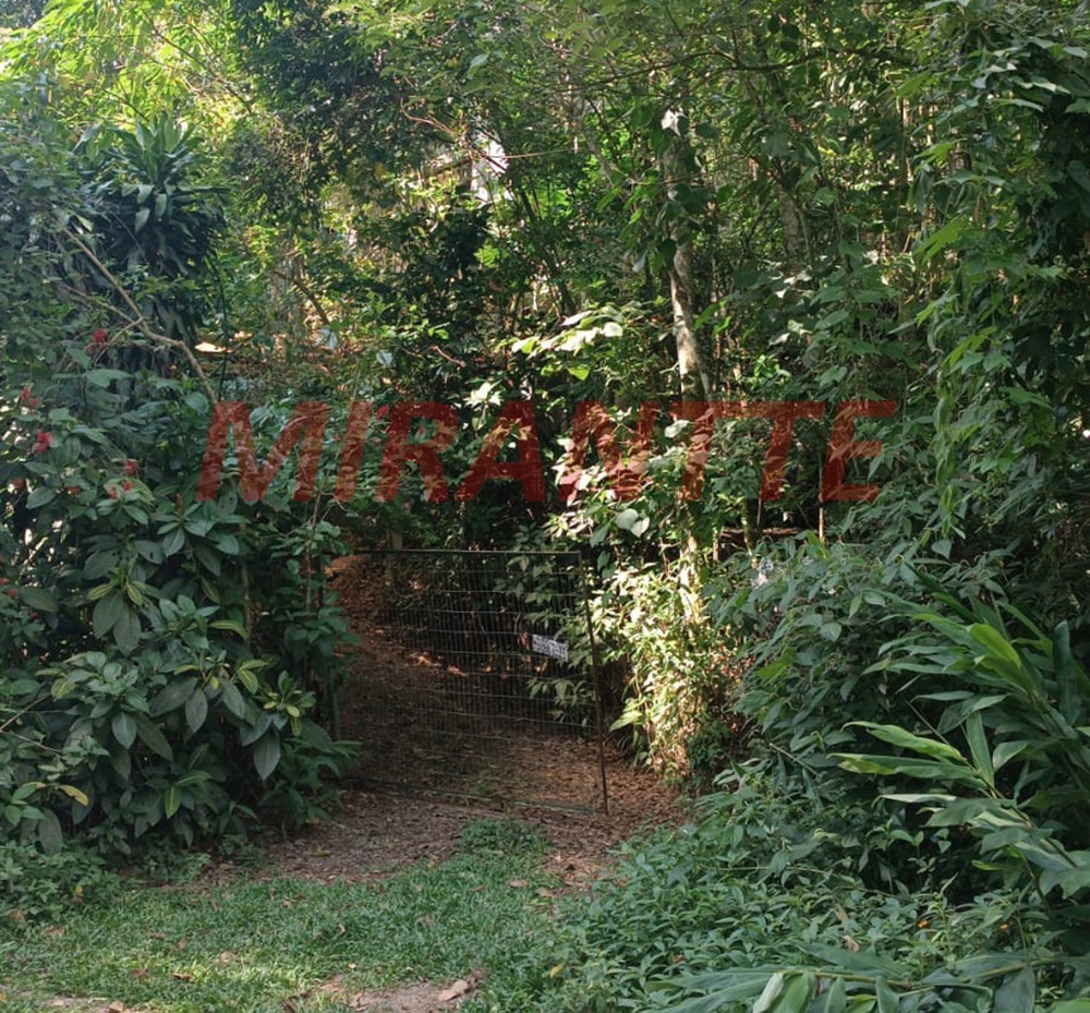 Terreno de 0m² em Luiz Fagundes