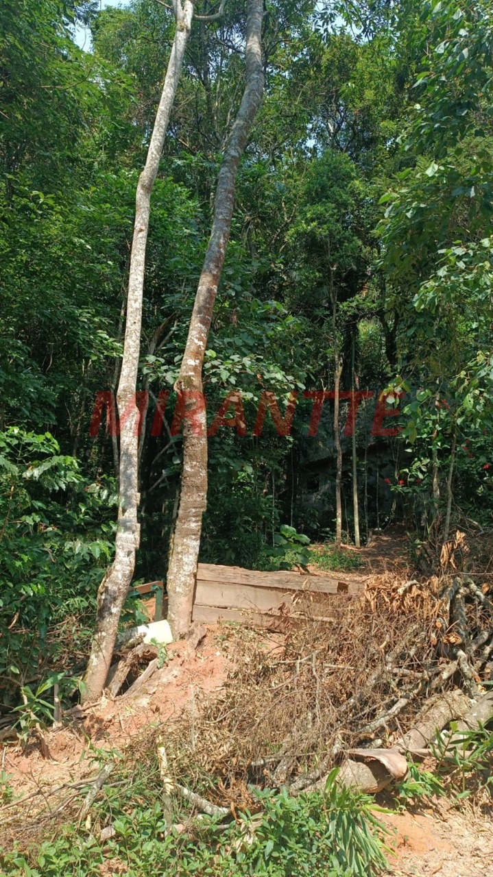 Terreno de 0m² em Luiz Fagundes