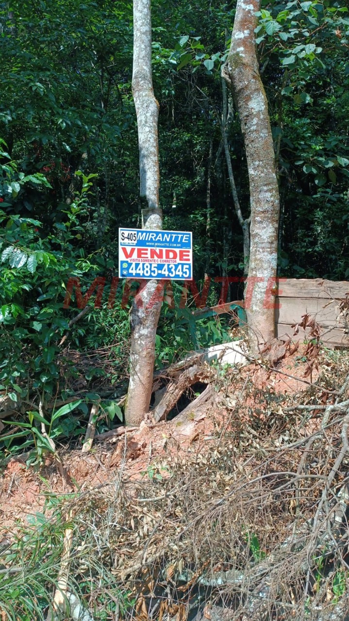 Terreno de 0m² em Luiz Fagundes