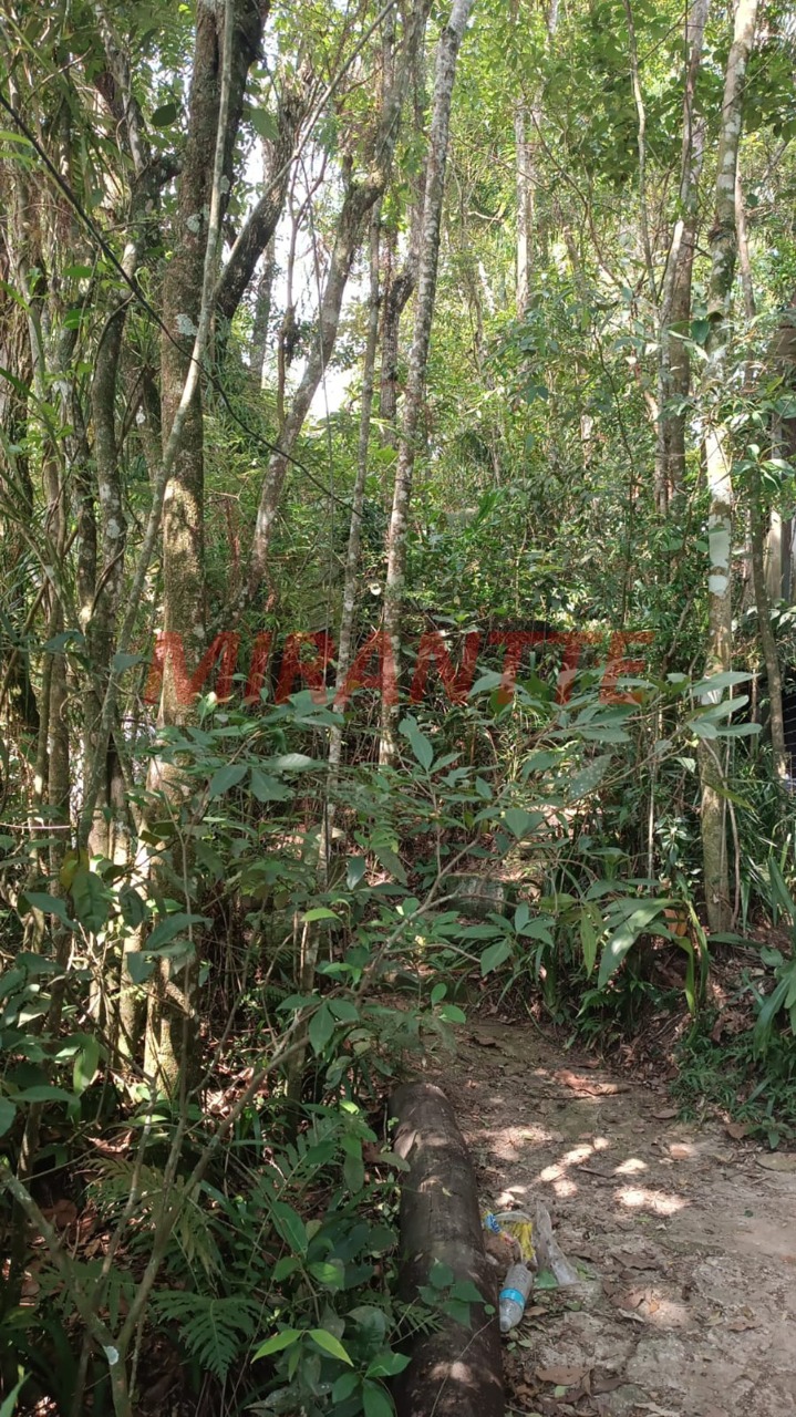 Terreno de 0m² em Luiz Fagundes