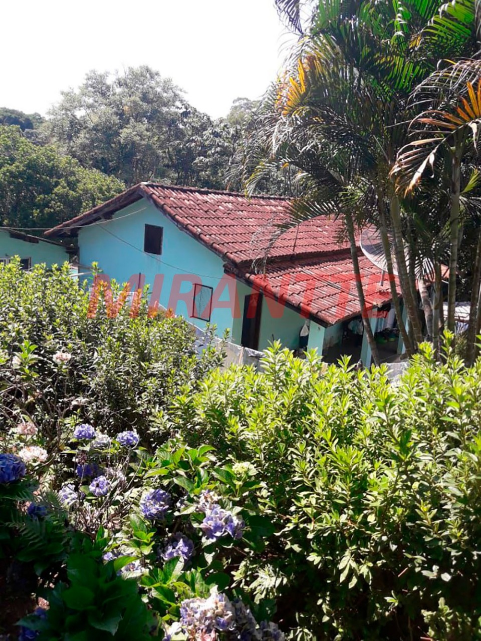 ChÁcara de 8000m² com 6 quartos em Santa Isabel