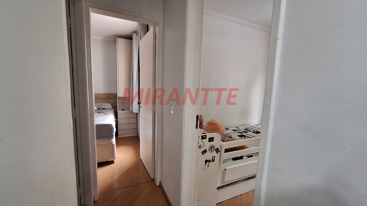 Apartamento de 50m² com 2 quartos em Vila Amelia