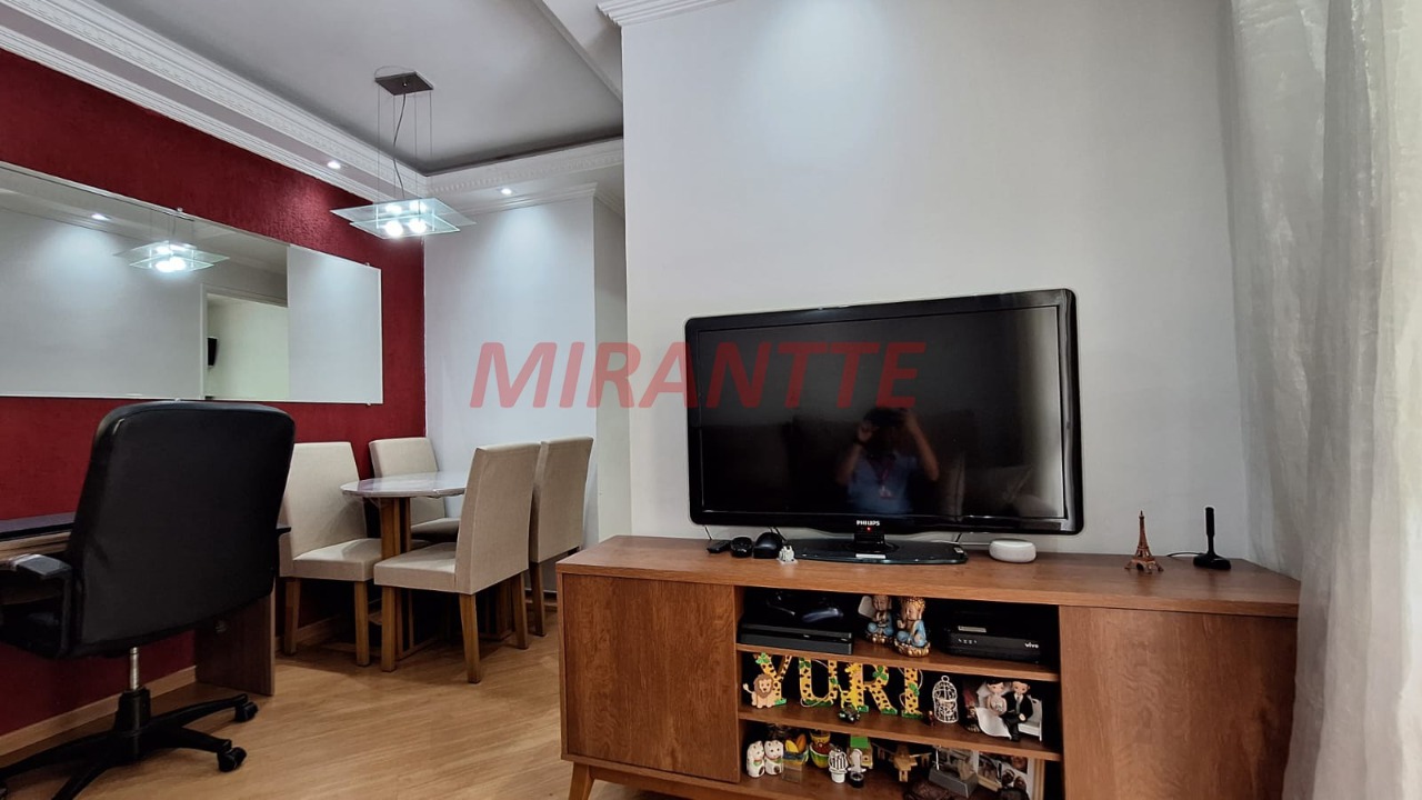 Apartamento de 50m² com 2 quartos em Vila Amelia