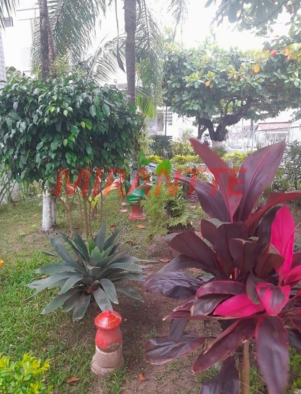 Apartamento de 25m² com 1 quartos em Ocian
