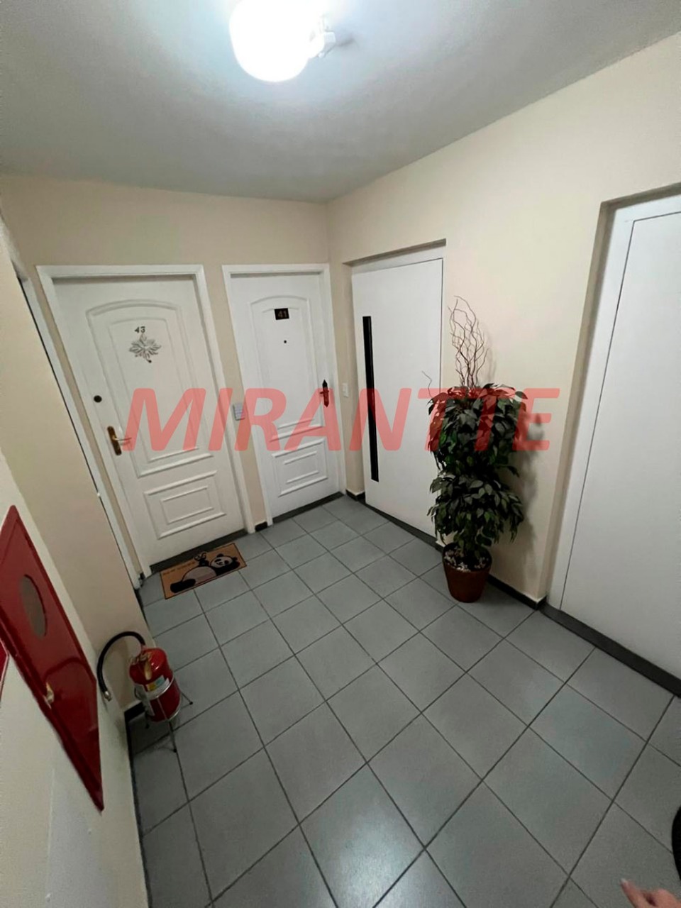 Apartamento de 55m² com 2 quartos em Vila Aurora