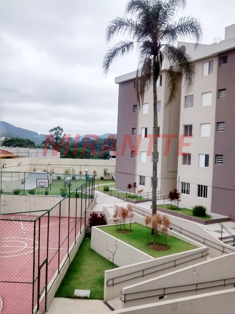 Apartamento de 50m² com 2 quartos em Núcleo do Engordador