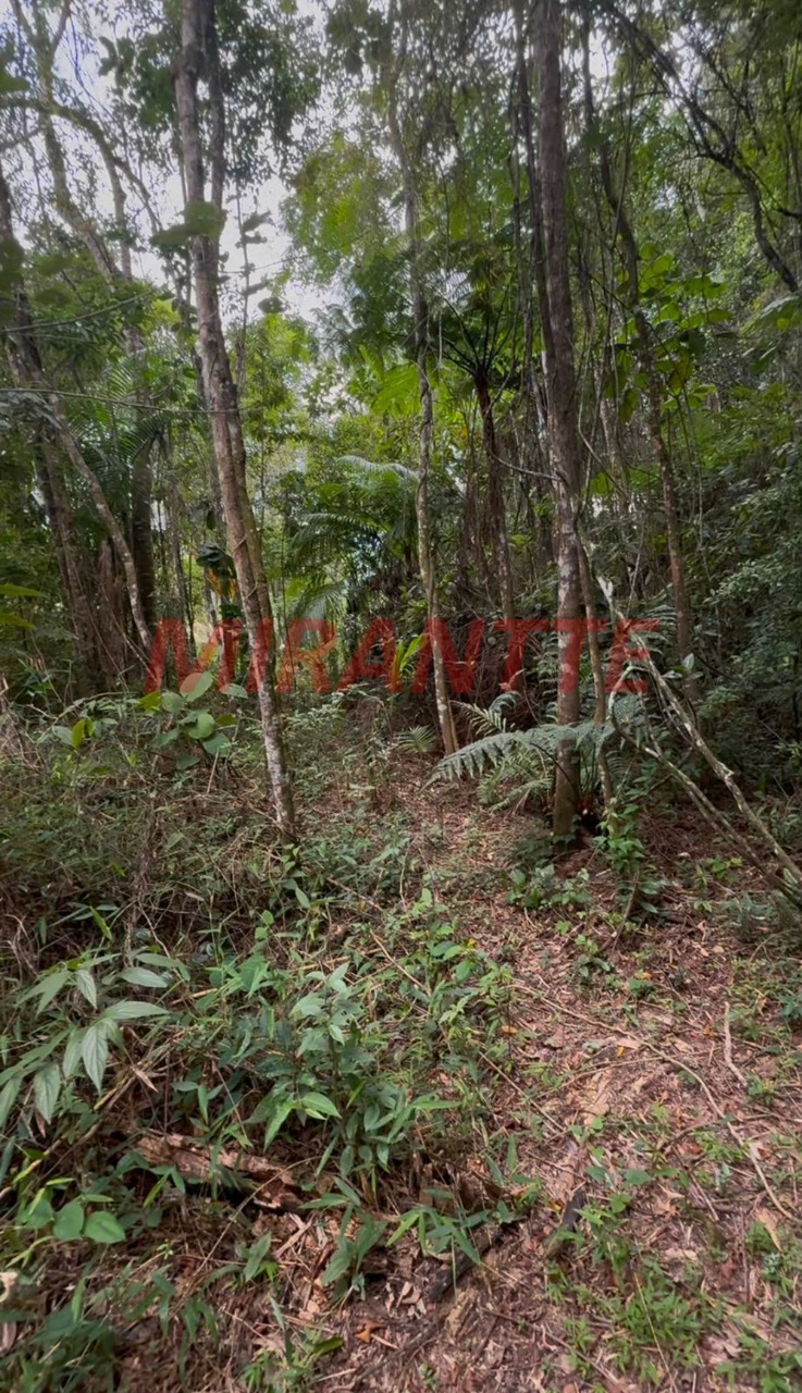 Terreno de 0m² em SANTA INÊS