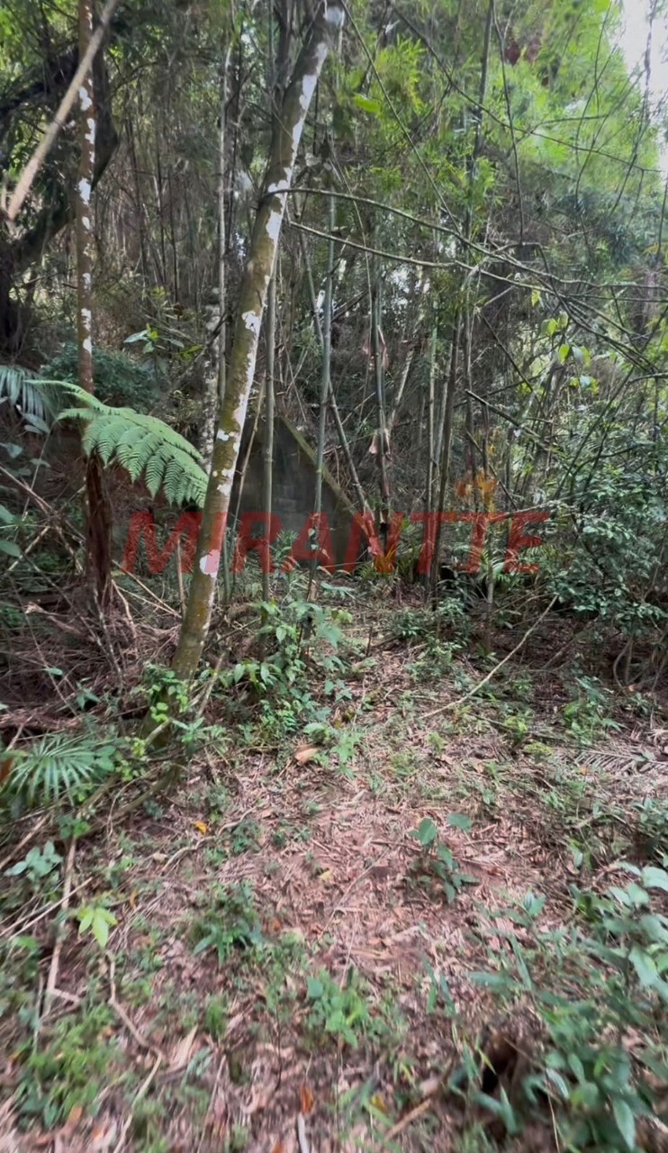 Terreno de 0m² em SANTA INÊS