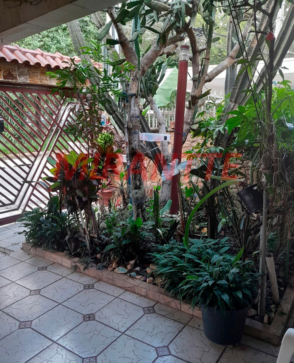 Casa terrea de 133m² com 3 quartos em Vila Isolina Mazzei