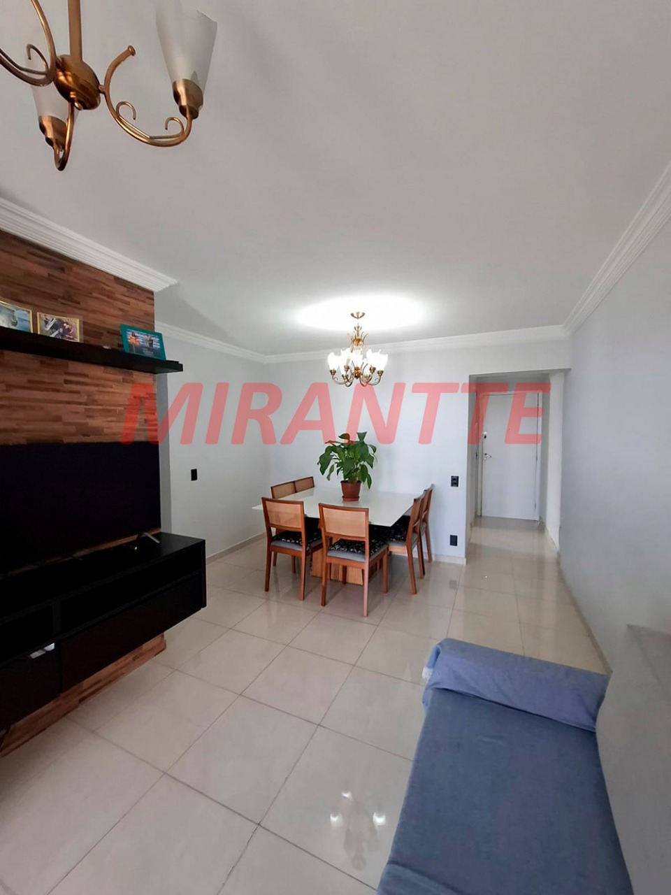 Apartamento de 81m² com 3 quartos em Vila Amelia