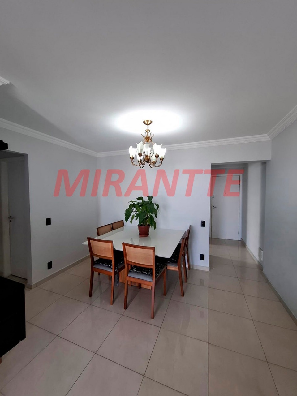 Apartamento de 81m² com 3 quartos em Vila Amelia