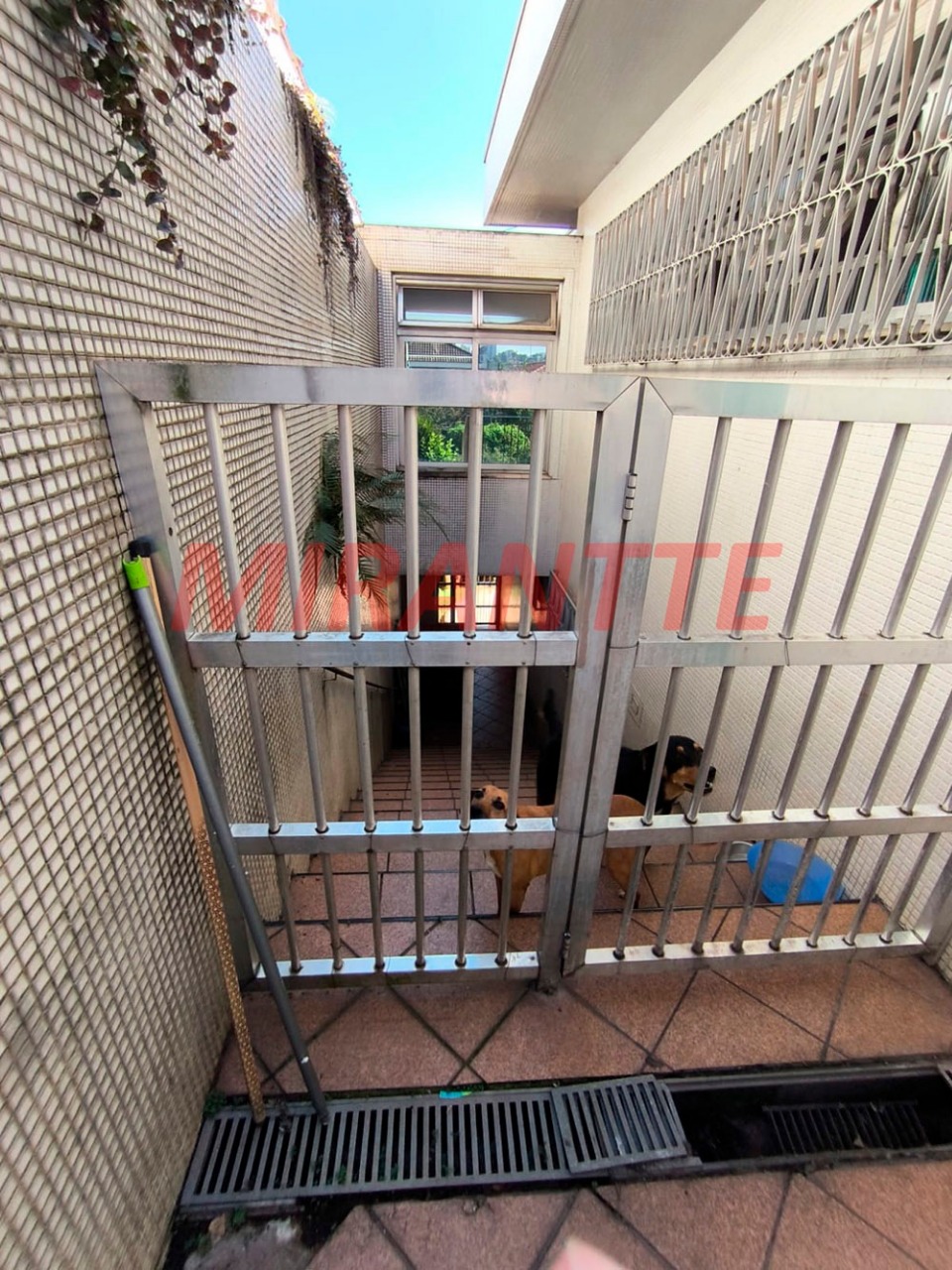 Casa terrea de 352m² com 4 quartos em Água Fria