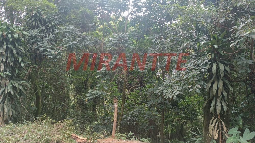 Terreno de 0m² em Samambaia