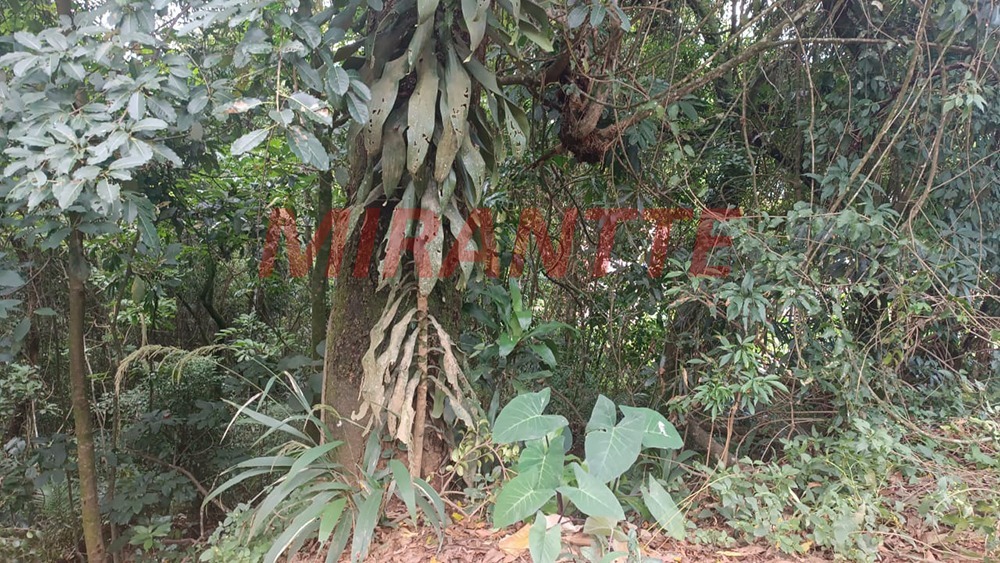 Terreno de 0m² em Samambaia