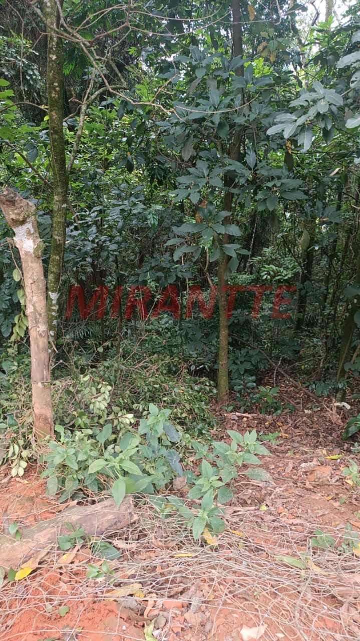 Terreno de 0m² em Samambaia