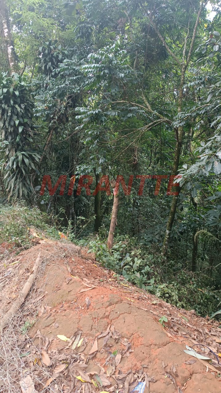 Terreno de 0m² em Samambaia