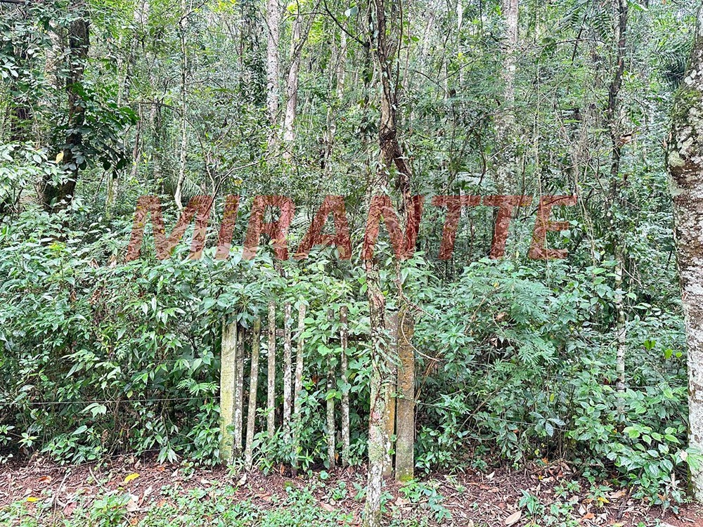 Outros em Caraguata