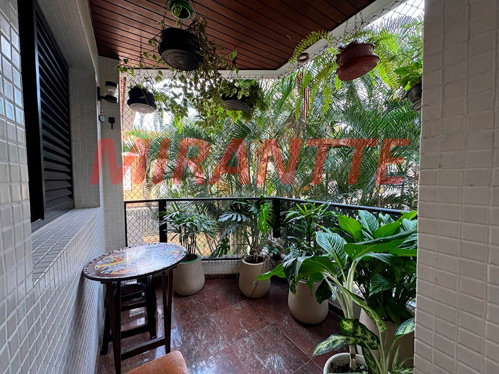 Apartamento de 125m² com 3 quartos em Vila Pauliceia