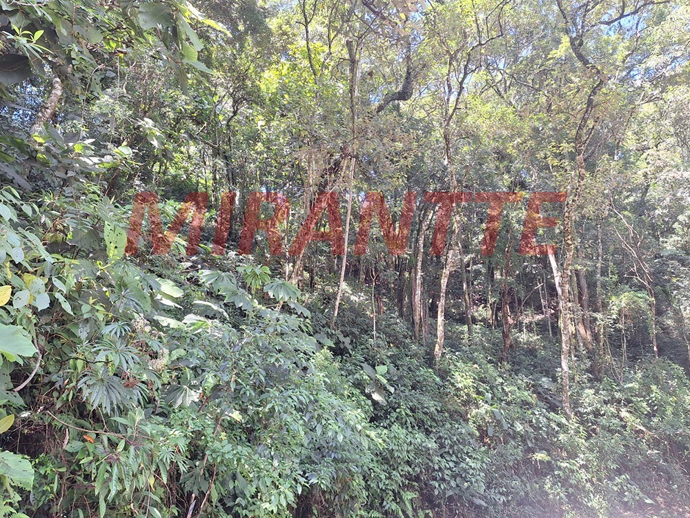 Terreno de 0m² em Caraguata