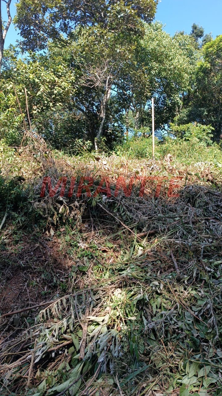 Terreno de 0m² em São Vicente
