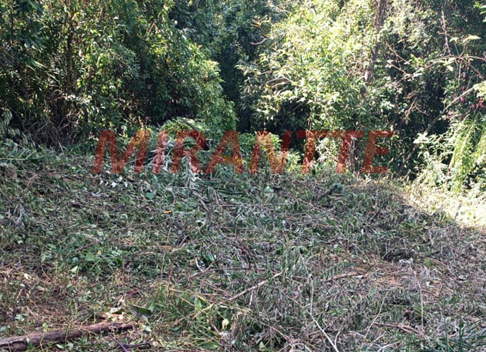 Terreno de 0m² em São Vicente