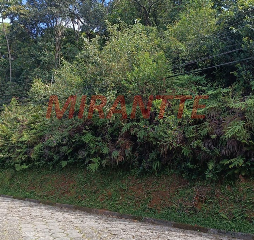 Terreno de 0m² em São Vicente