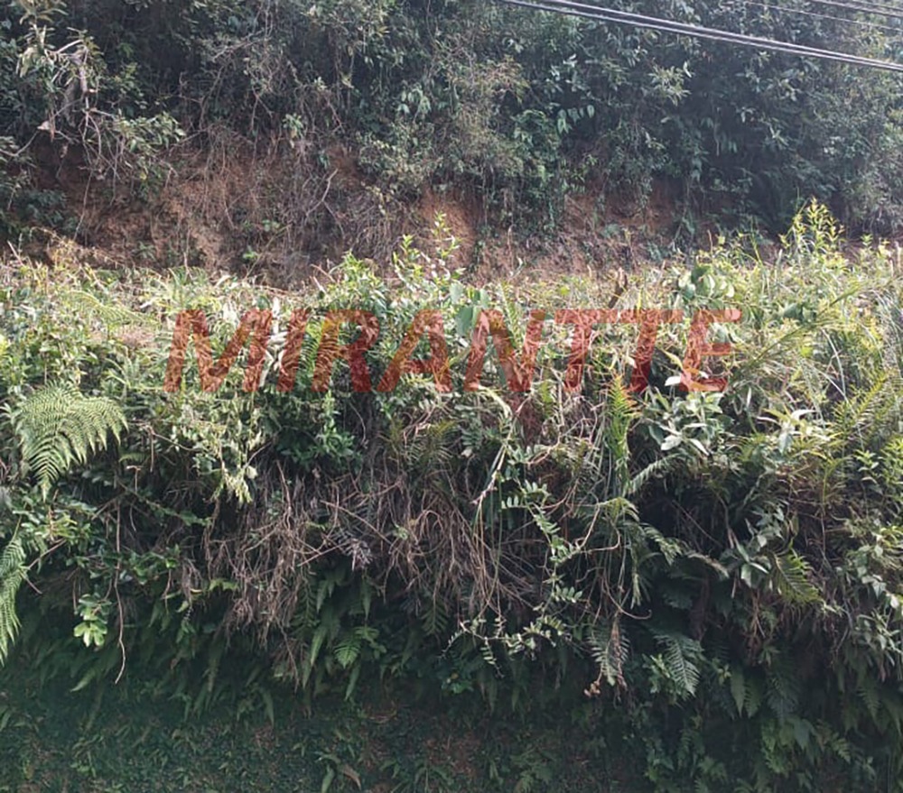 Terreno de 0m² em São Vicente