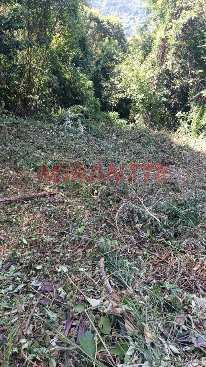 Terreno de 0m² em São Vicente