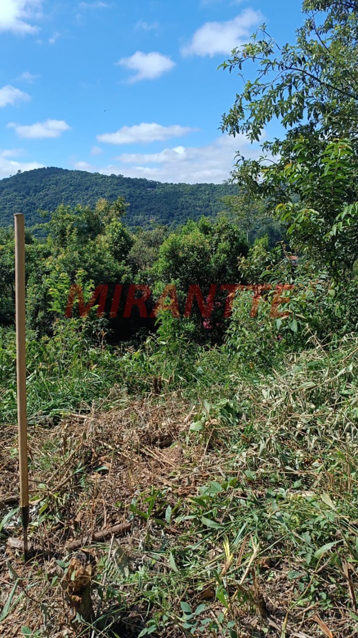 Terreno de 0m² em São Vicente