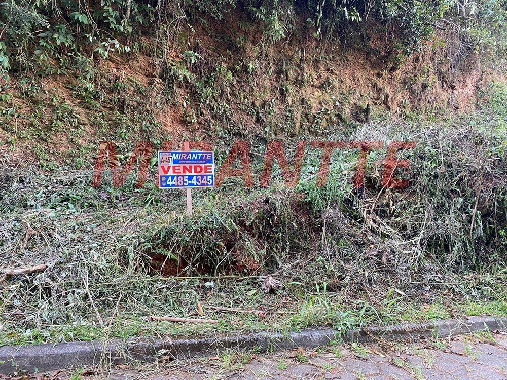 Terreno de 0m² em São Vicente
