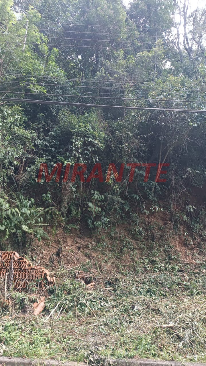 Terreno de 0m² em São Vicente