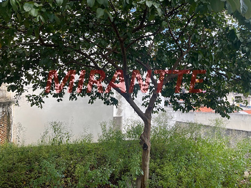 Casa terrea de 450m² com 6 quartos em Vila Nova Mazzei