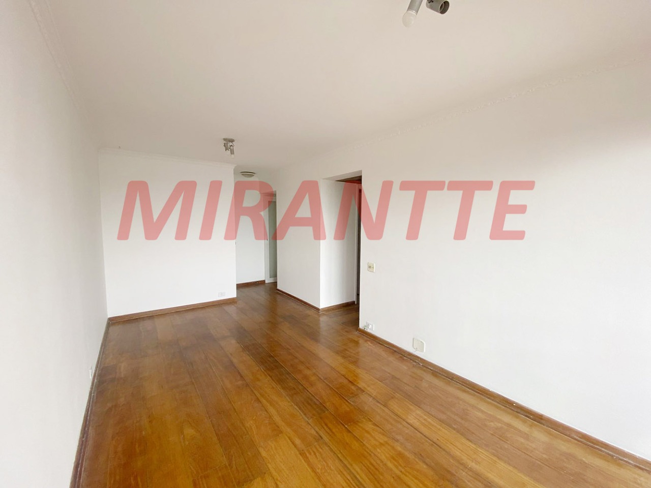 Apartamento de 75m² com 3 quartos em Sumarezinho