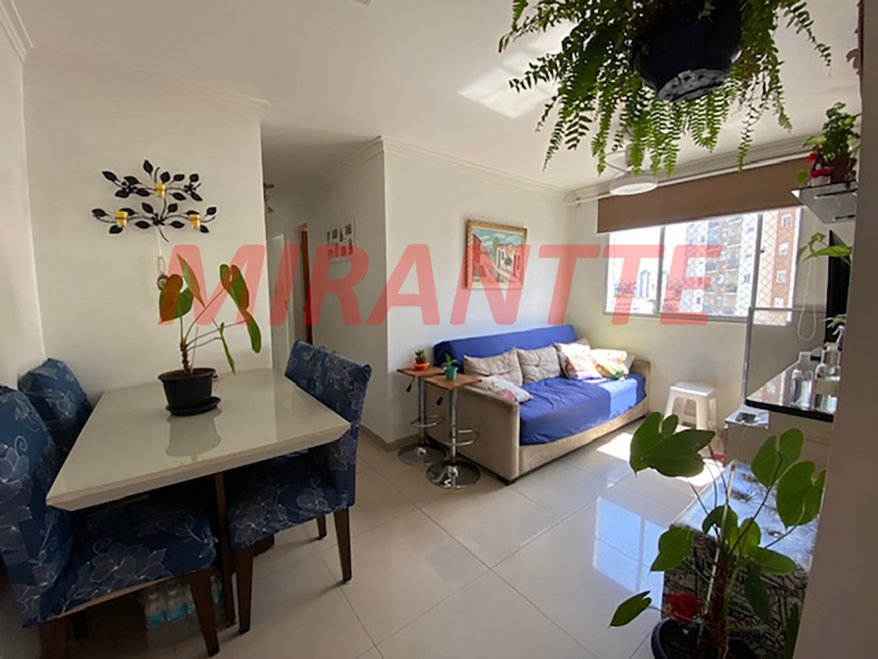 Apartamento de 54m² com 2 quartos em Parque Novo Mundo