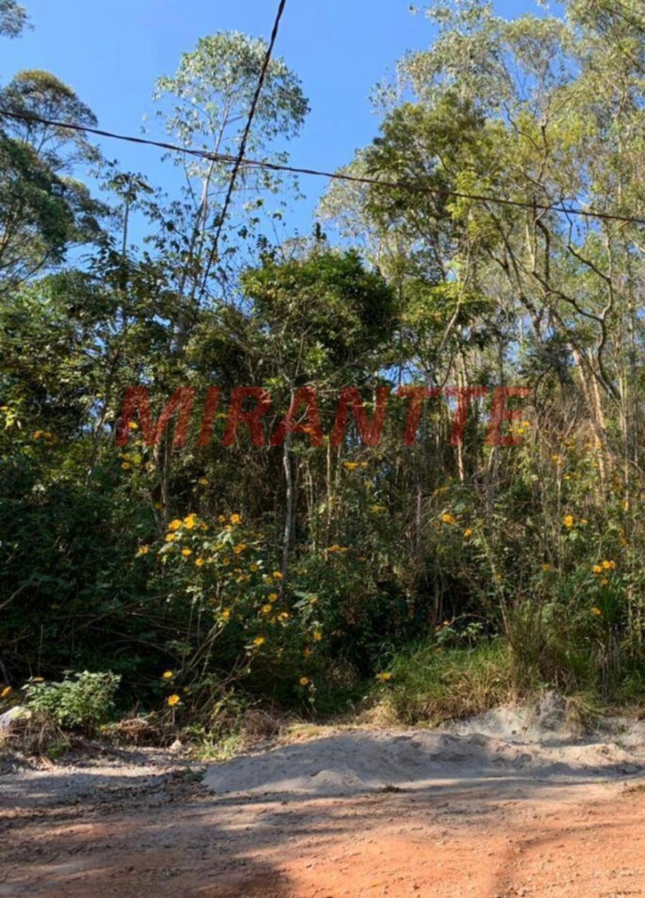 Terreno de 0m² em Mantiqueira
